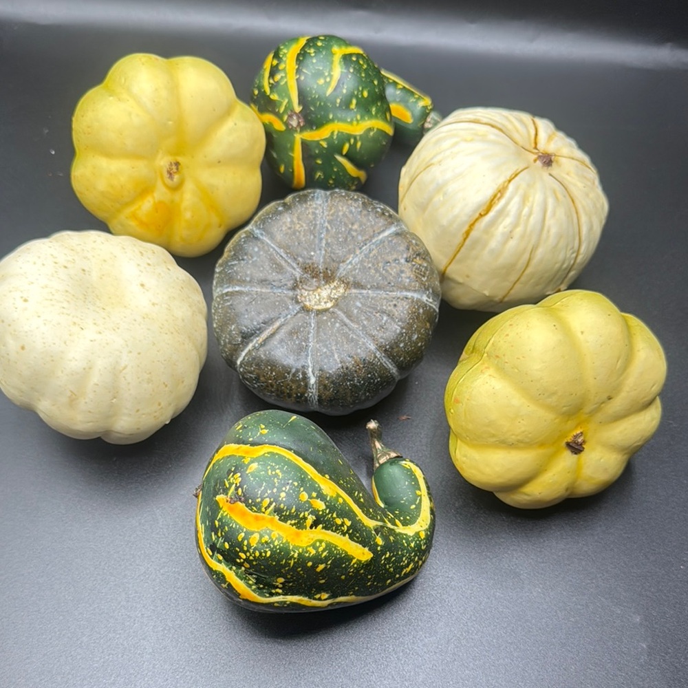 Artificial Mixed Decorative Gourd Set - Green, Yellow, and Cream - Picture 8 of 8